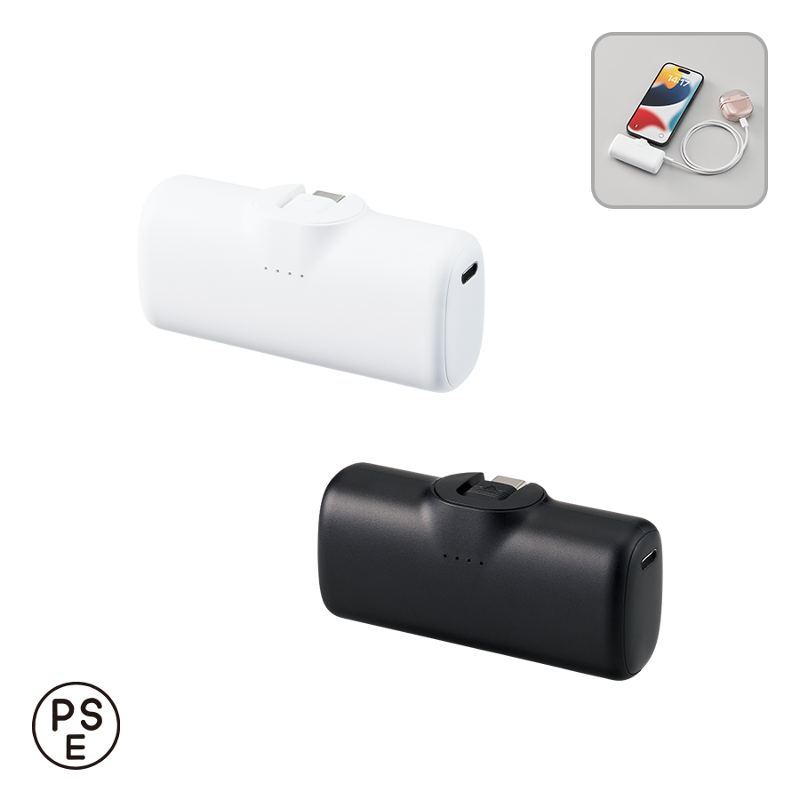 TE-0032 シンプルダイレクトモバイルチャージャー4000