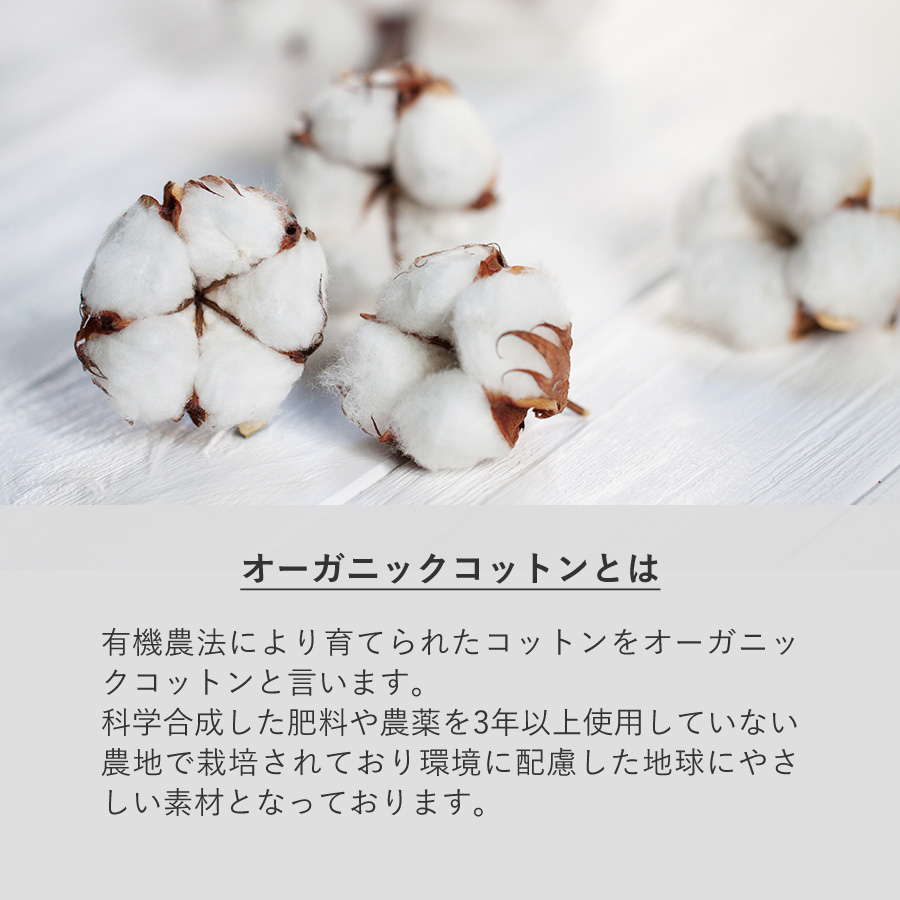 F.O.B COOPオーガニックコットンワークエプロン