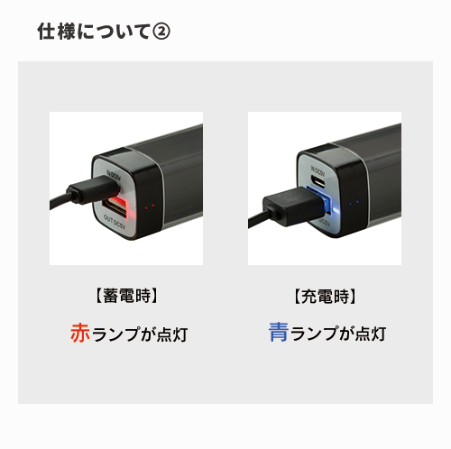 カスタムデザインチャージャー2200
