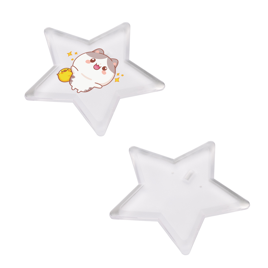 TX-0004-004 ライティングバッジ　星形　クリア