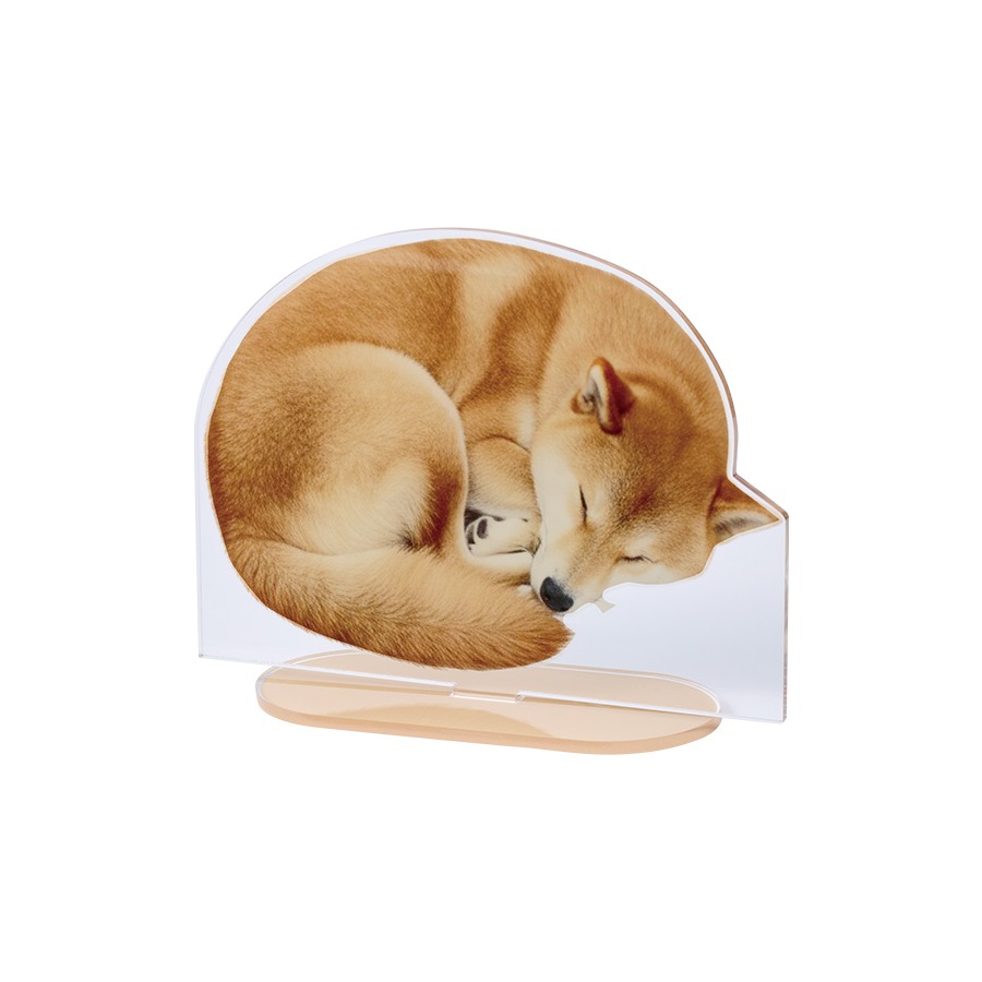 TZ-1092 アクリルスタンドワイド134×100mm