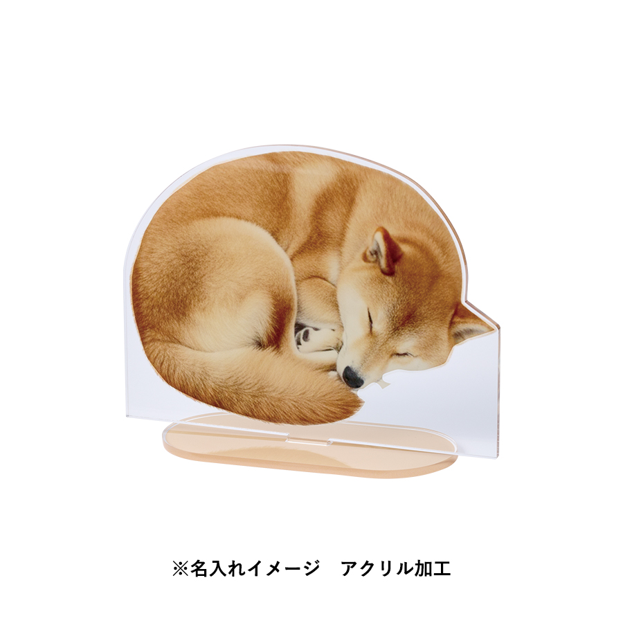 アクリルスタンドワイド134×100mm