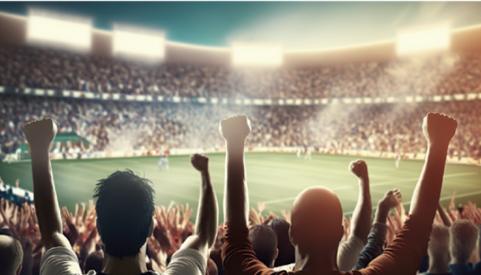 スポーツ観戦/音楽フェスグッズに